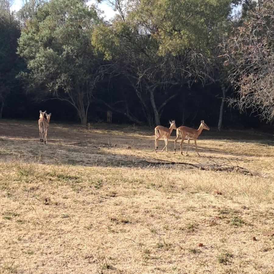 Commercial Property for Sale in Rayton Free State